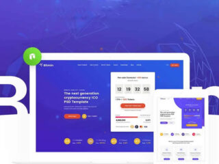 Best cryptocurrency WordPress themes to get